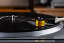 Skyanalog REF a tocar um disco