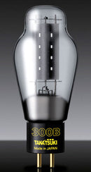 AURORASOUND PADA-300B