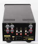 DAYENS CUSTOM MONO AMPLIFIERS AND PREAMPLIFIER